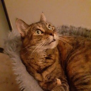 Meet your Posher, Lisa